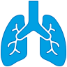 Pulmonology icon